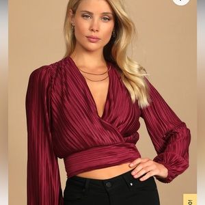Burgundy Satin Pleated Sheer Back Long Sleeve Top